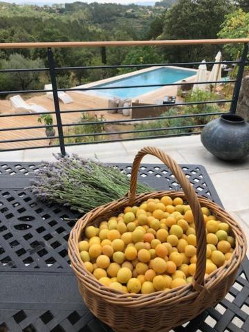Idyllic French Farmhouse Les Assions 外观 照片
